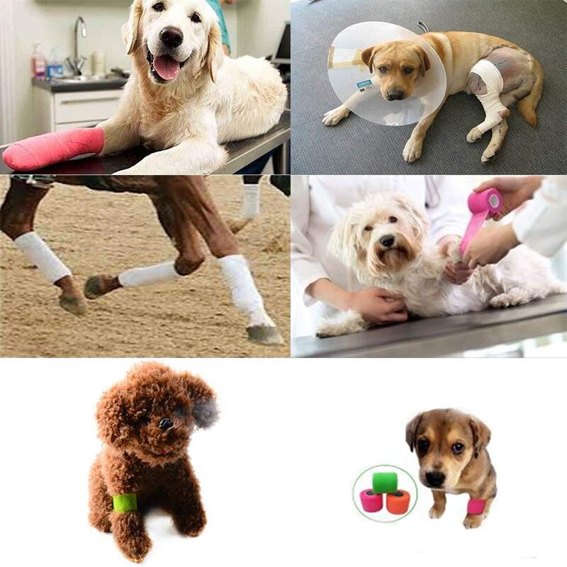 Non-woven Fabric Bandage Wrap For Animals - Image 2