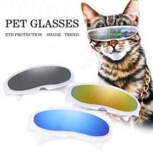 Cats nd Dogs Polarized Sunglasses